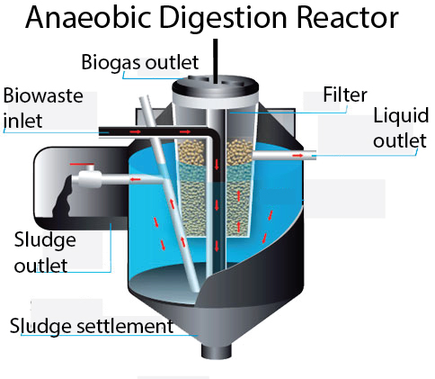 Anaerobic Biodigestion Reactor