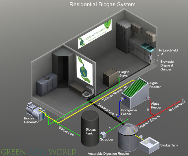 Residential Biogas System